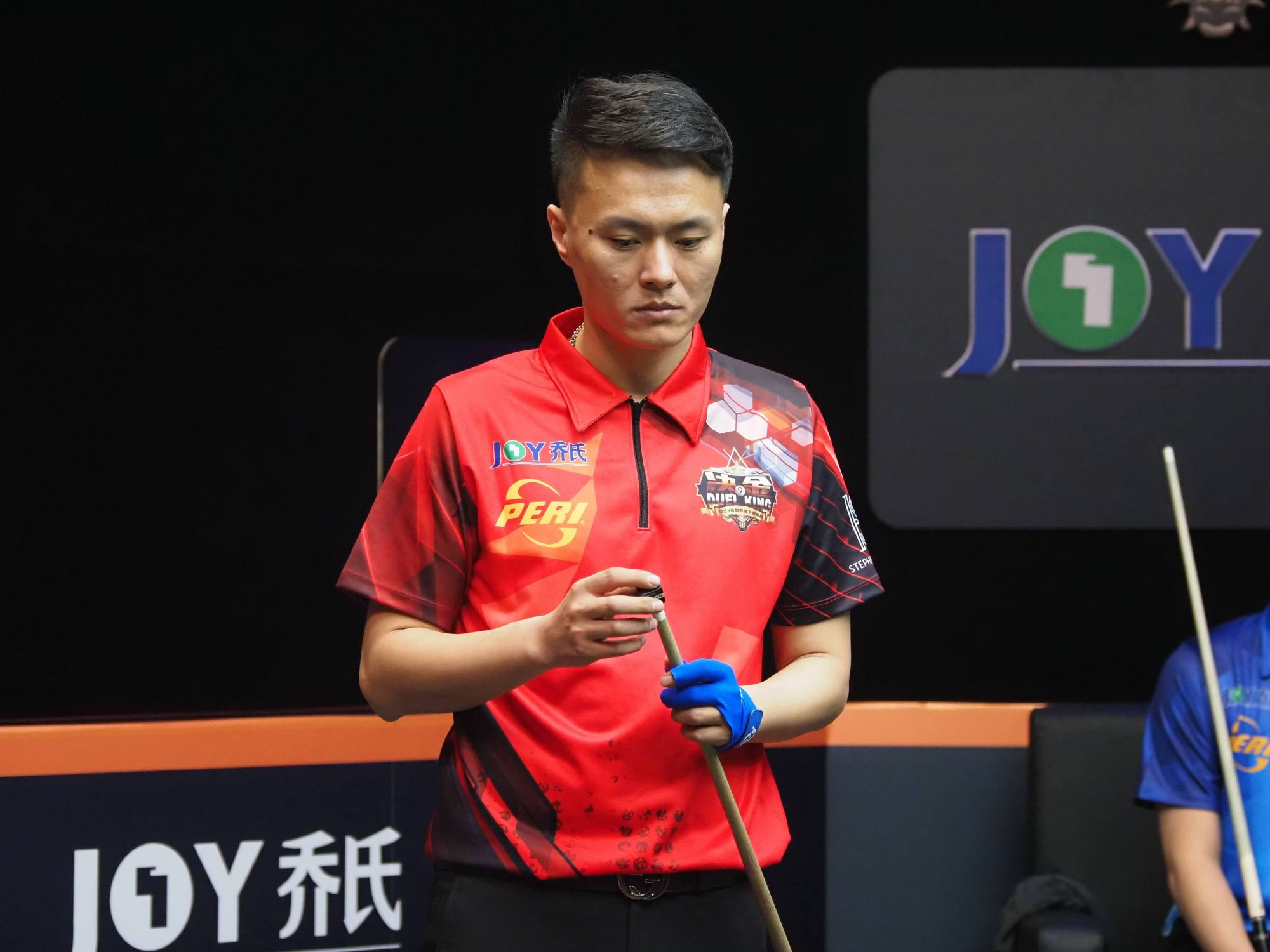 整体性欠缺 整体性欠缺